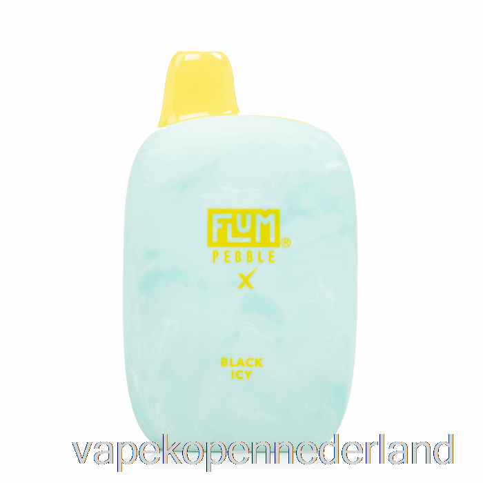 Vape Nederland Flum Kiezel X 6000 Wegwerp Zwart Ijzig